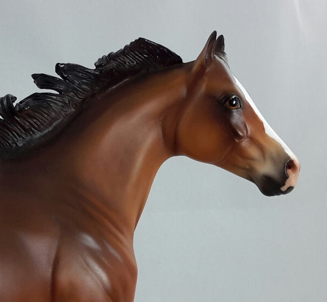 WILD BOY - OOAK Bay Dapple Stock Horse