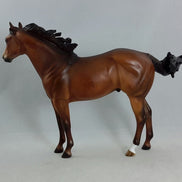 WILD BOY - OOAK Bay Dapple Stock Horse