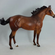 WILD BOY - OOAK Bay Dapple Stock Horse