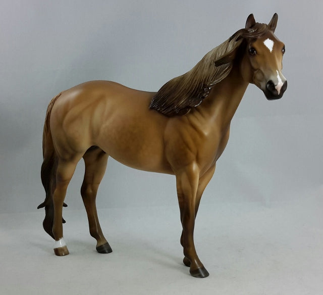 BOARDWALK EMPIRE - Dappled Dun Stock Horse