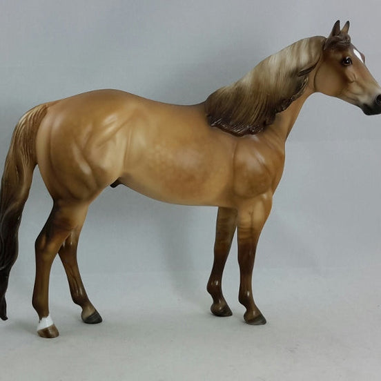 BOARDWALK EMPIRE - Dappled Dun Stock Horse