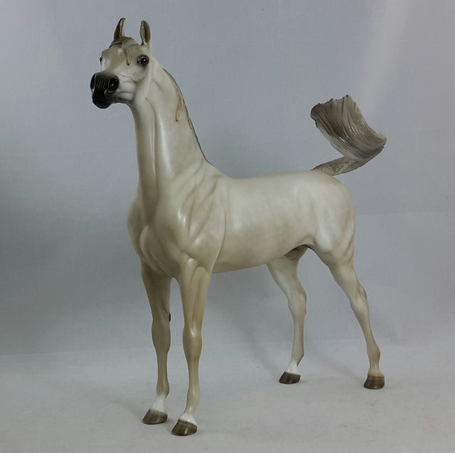 SHAMELESS - OOAK Light Dapple Gray Arabian