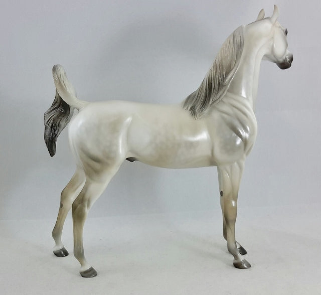 ENLIGHTENED - OOAK Dapple Gray Arabian