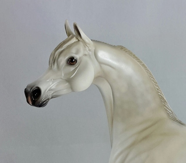 ENLIGHTENED - OOAK Dapple Gray Arabian