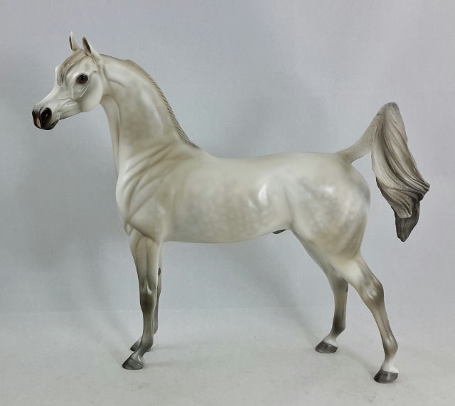 ENLIGHTENED - OOAK Dapple Gray Arabian