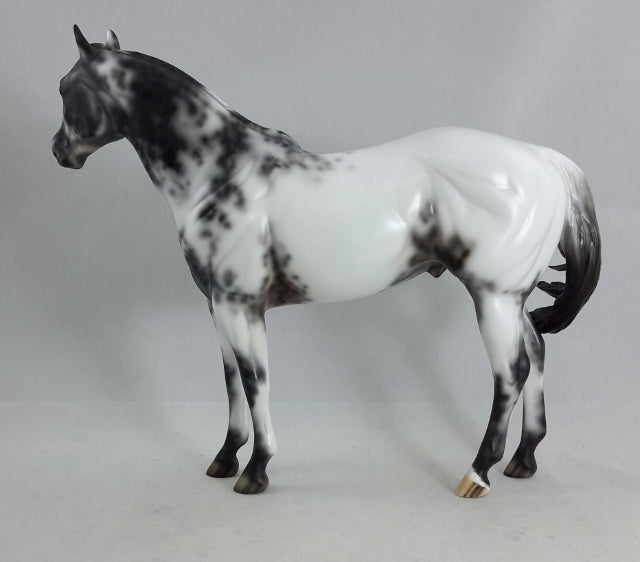DANCING WITH THE STARS - OOAK Appaloosa Stock Horse