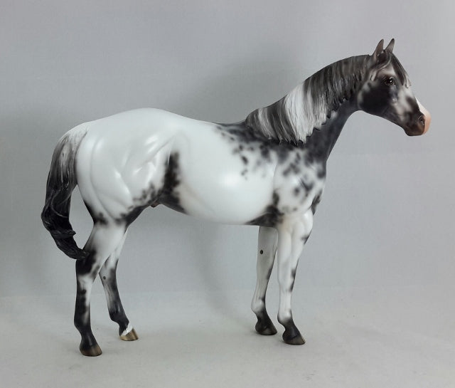 DANCING WITH THE STARS - OOAK Appaloosa Stock Horse