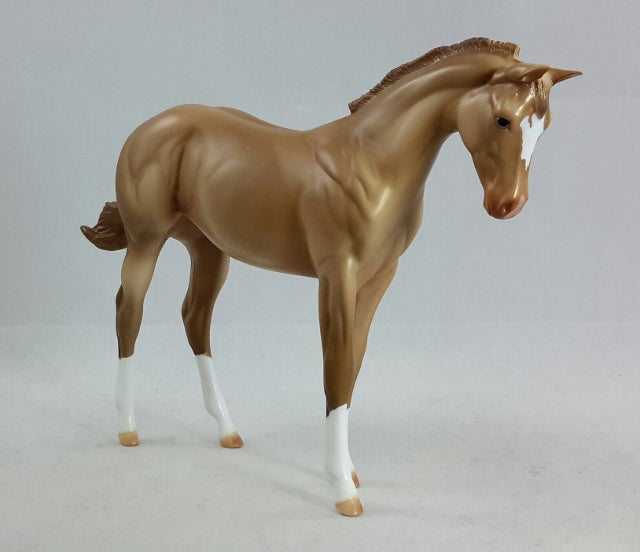 DEXTER - OOAK Champagne Weanling Model Horse
