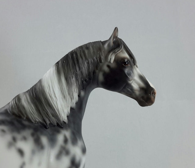 DANCING WITH THE STARS - OOAK Appaloosa Stock Horse