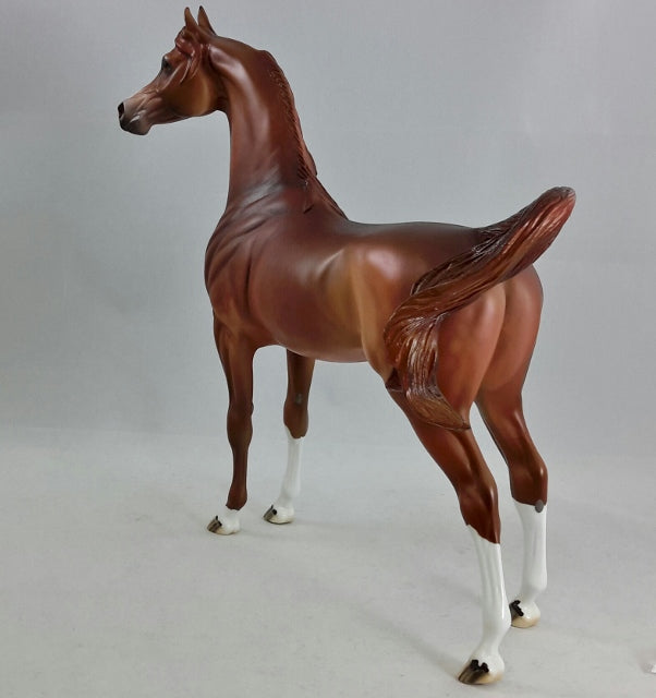 HELL&#39;S KITCHEN - OOAK Dapple Chestnut Arabian