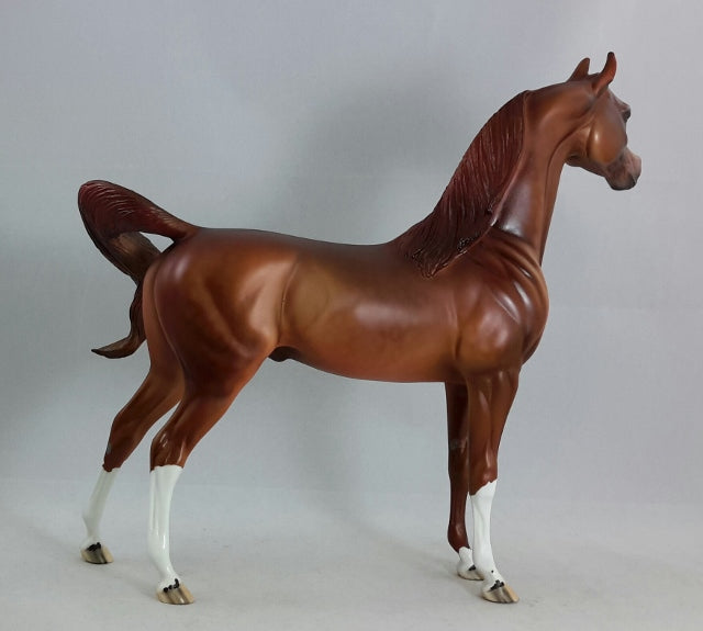 HELL&#39;S KITCHEN - OOAK Dapple Chestnut Arabian