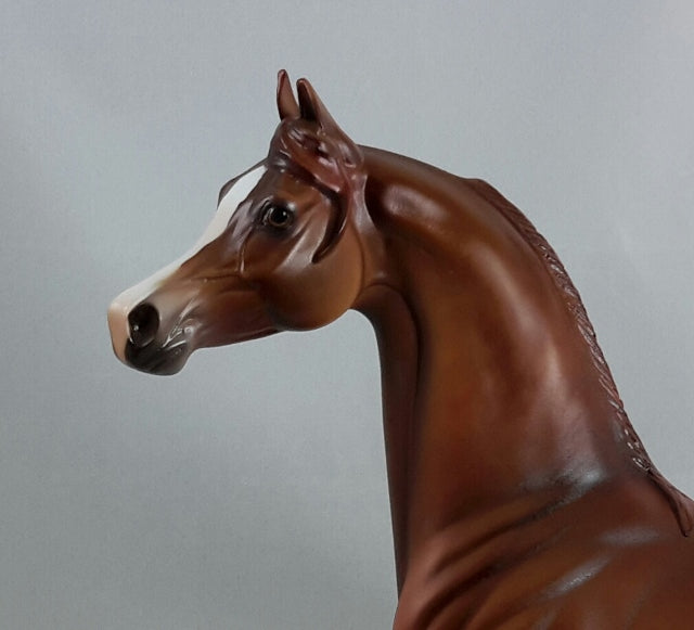 HELL&#39;S KITCHEN - OOAK Dapple Chestnut Arabian