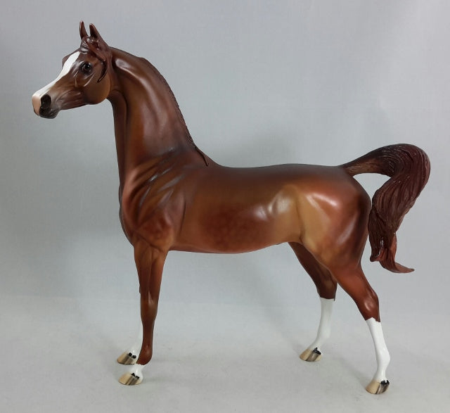 HELL'S KITCHEN - OOAK Dapple Chestnut Arabian