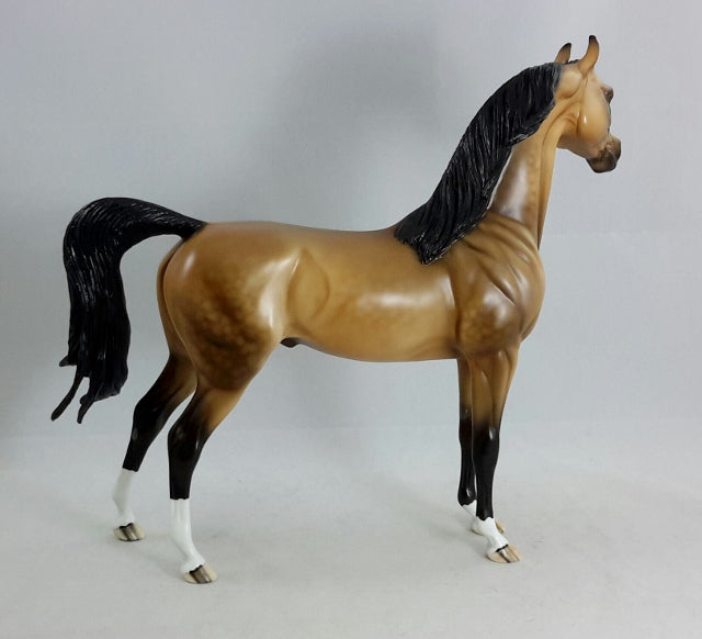 UTOPIA - OOAK Dapple Sooty Buckskin