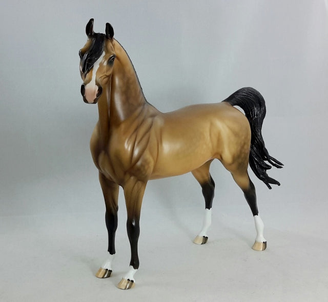 UTOPIA - OOAK Dapple Sooty Buckskin