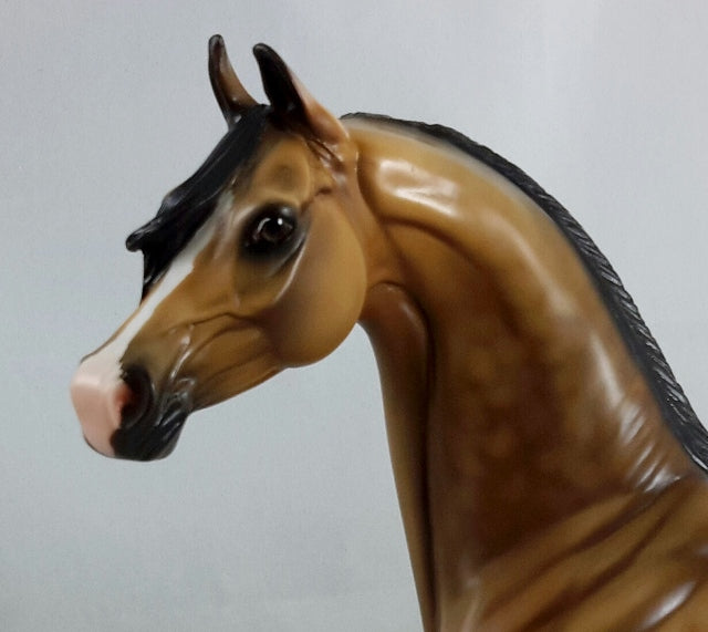 UTOPIA - OOAK Dapple Sooty Buckskin