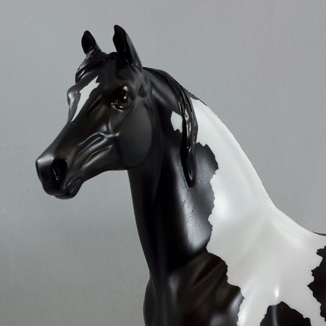 THE CHEW - Black &amp; White Pinto Morgan Model Horse