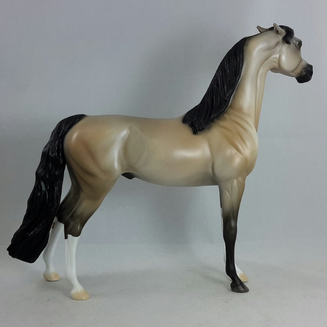 CLEAR - Gray Arabian