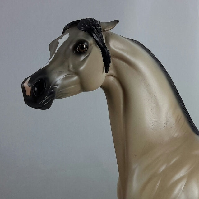 CLEAR - Gray Arabian