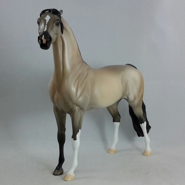 CLEAR - Gray Arabian