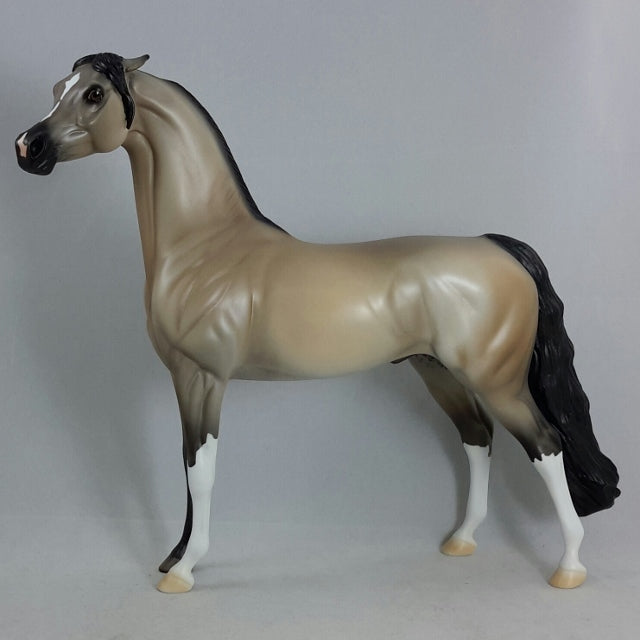 CLEAR - Gray Arabian