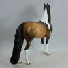 BANSHEE - OOAK Dun Tobiano Pinto Morgan