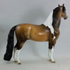 BANSHEE - OOAK Dun Tobiano Pinto Morgan