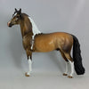 BANSHEE - OOAK Dun Tobiano Pinto Morgan