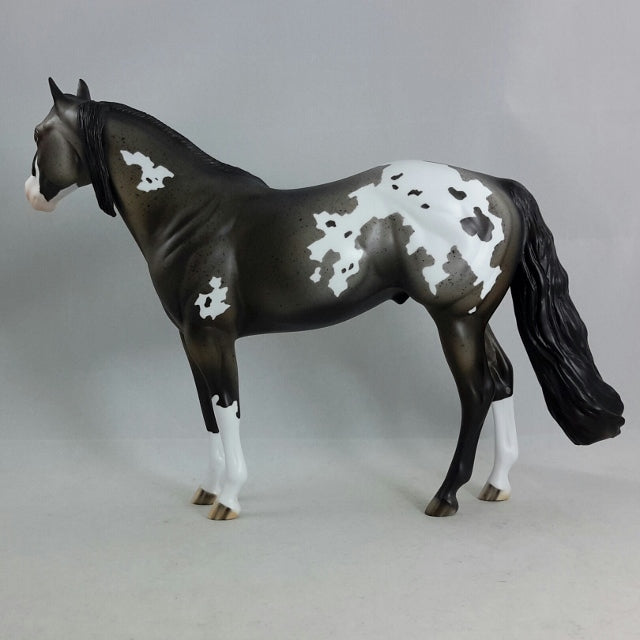Z NATION - Gray Appaloosa Stock Horse