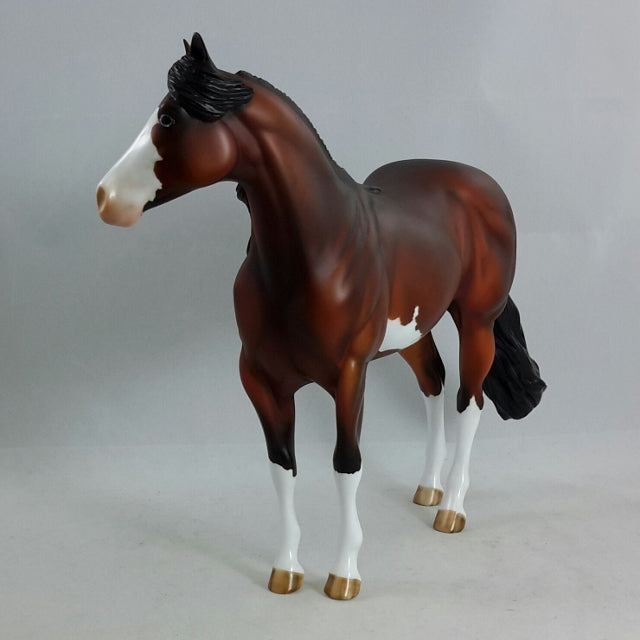 BRICKLEBERRY - OOAK Bay Dapple Sabino Stock Horse