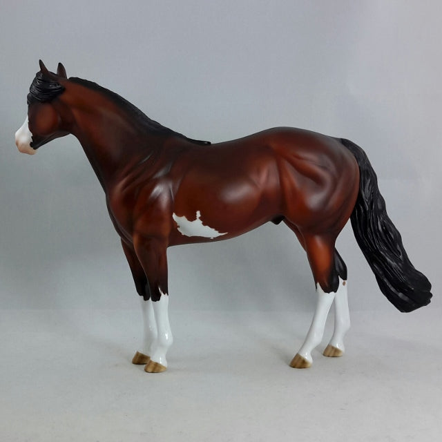 BRICKLEBERRY - OOAK Bay Dapple Sabino Stock Horse