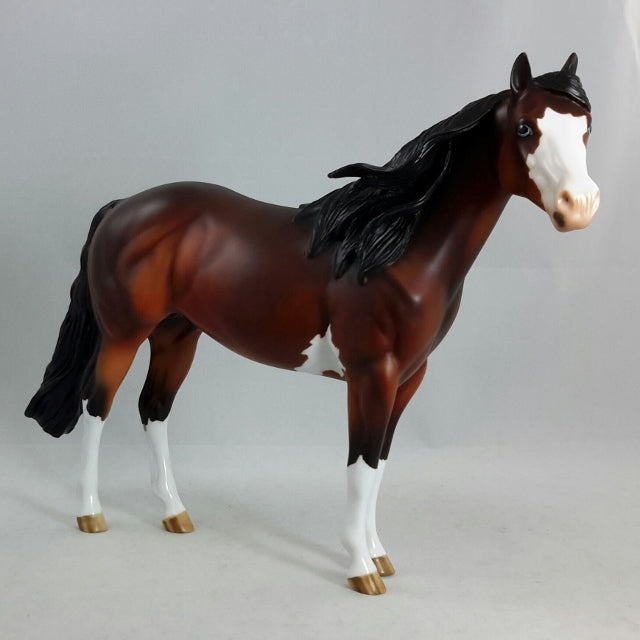 BRICKLEBERRY - OOAK Bay Dapple Sabino Stock Horse