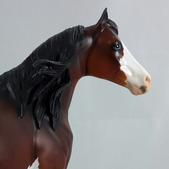 BRICKLEBERRY - OOAK Bay Dapple Sabino Stock Horse