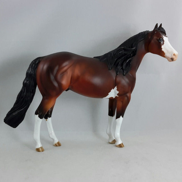 BRICKLEBERRY - OOAK Bay Dapple Sabino Stock Horse