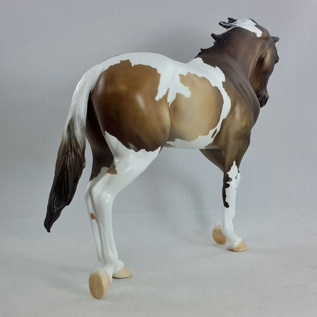 OUTLANDER - Sooty Buckskin Thoroughbred Pinto