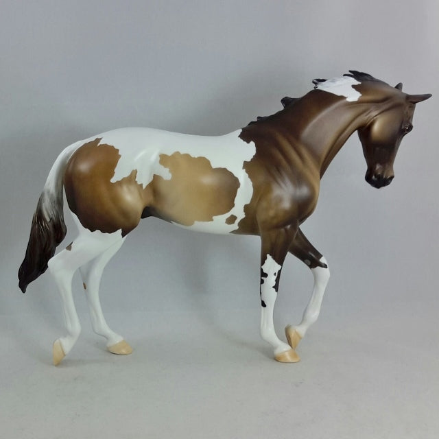 OUTLANDER - Sooty Buckskin Thoroughbred Pinto