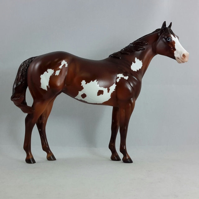 MORITA - OOAK Chestnut Overo Stock Horse