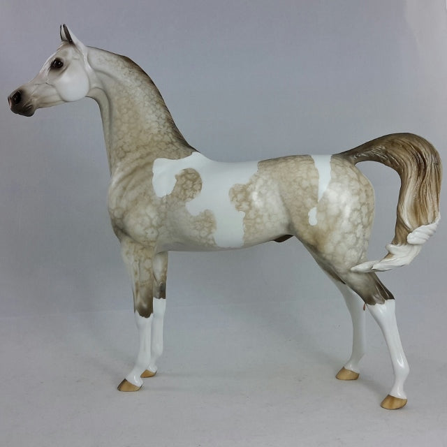 HISAN by Sheryl Leisure