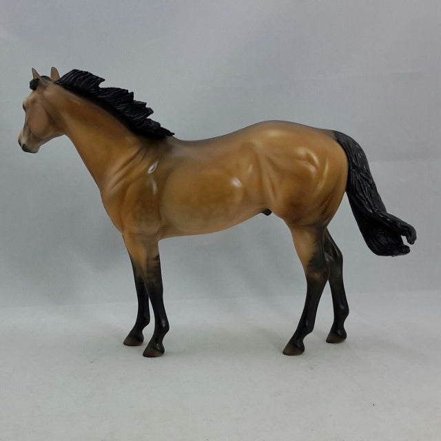 THE AFFAIR - OOAK Sooty Buckskin Stock Horse