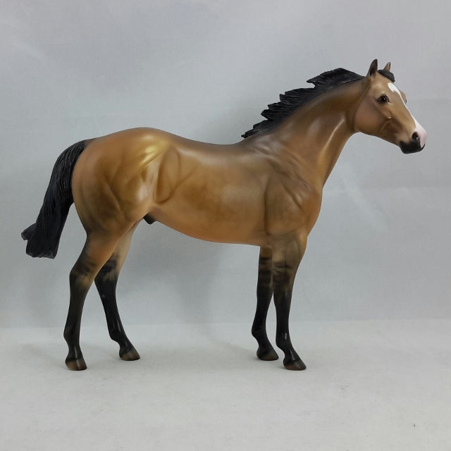 THE AFFAIR - OOAK Sooty Buckskin Stock Horse