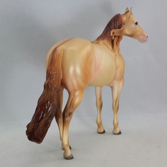 KAMANTRE - Amber Champagne Dun Stock by Caroline Boydston