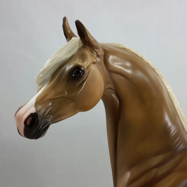 KING FERDINAND - Dapple Chestnut Arabian