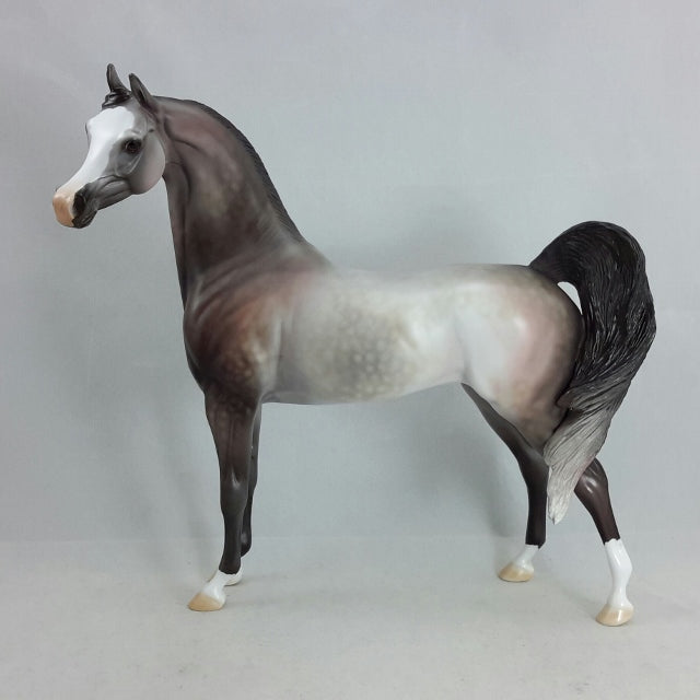 PINTA - OOAK  Dapple Gray Arabian