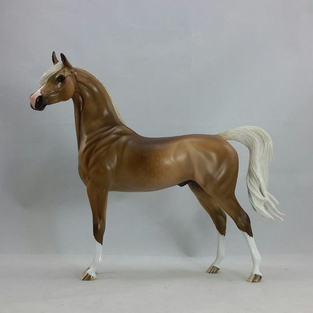 KING FERDINAND - Dapple Chestnut Arabian