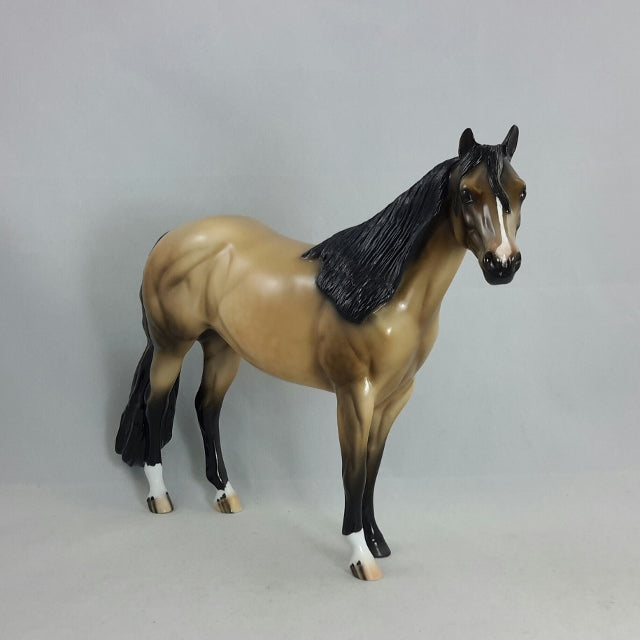 THIRST FOR GOLD - OOAK  Sooty Buckskin Stock Horse