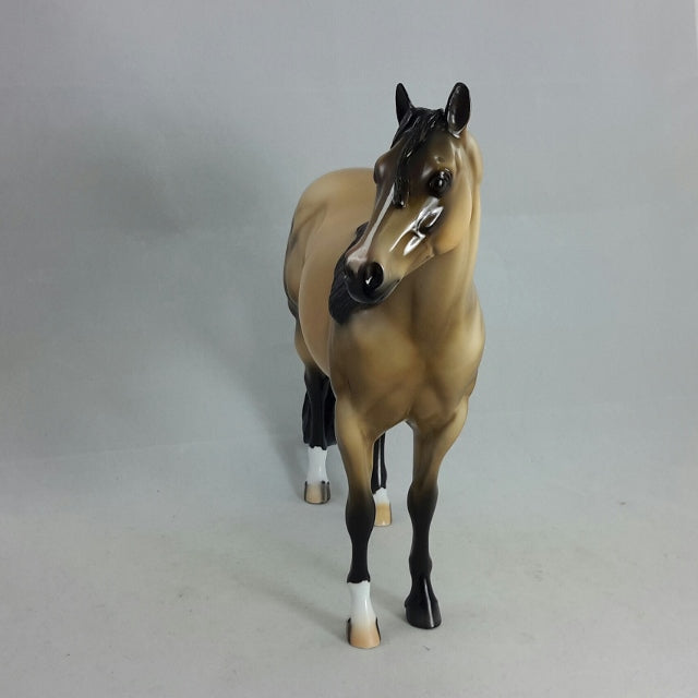 THIRST FOR GOLD - OOAK  Sooty Buckskin Stock Horse