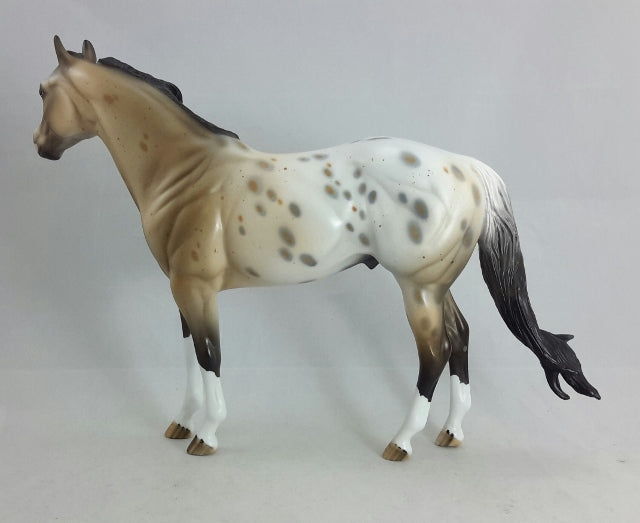 CASTILLE - OOAK Buckskin Appaloosa Stock Horse