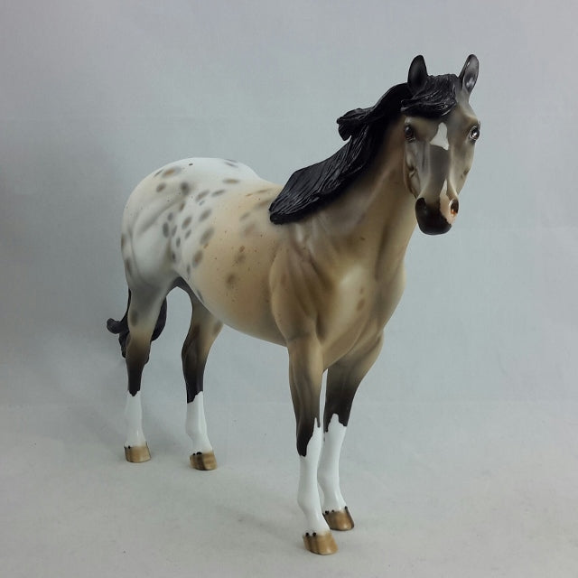CASTILLE - OOAK Buckskin Appaloosa Stock Horse