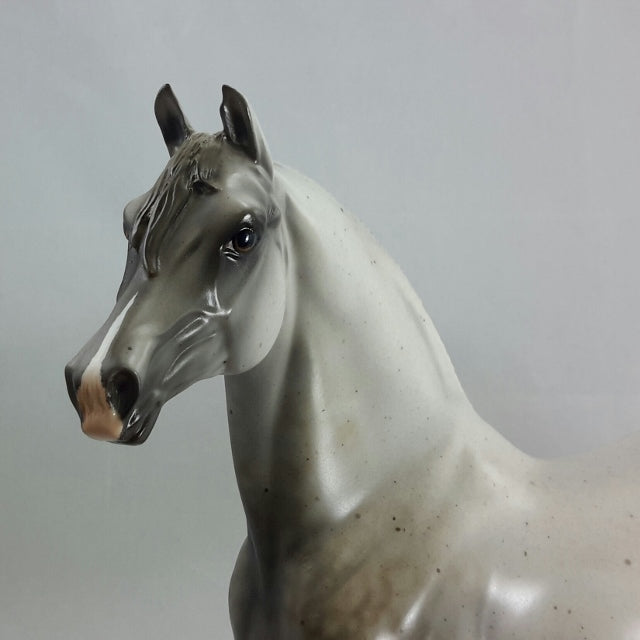 ACROSS THE SEA - OOAK Chestnut Going Gray Morgan