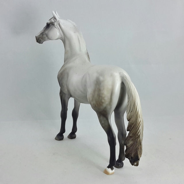 ACROSS THE SEA - OOAK Chestnut Going Gray Morgan